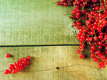 Directly above shot of red currants on table