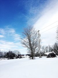 Bare trees on snow covered landscape