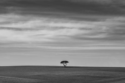 Scenic view of land against sky