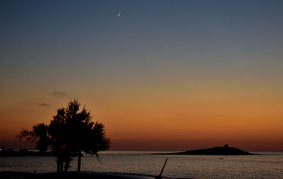 Silhouette trees on beach against sky during sunset
