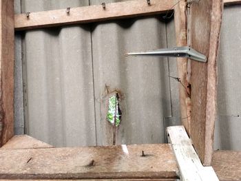 Closed door of old building