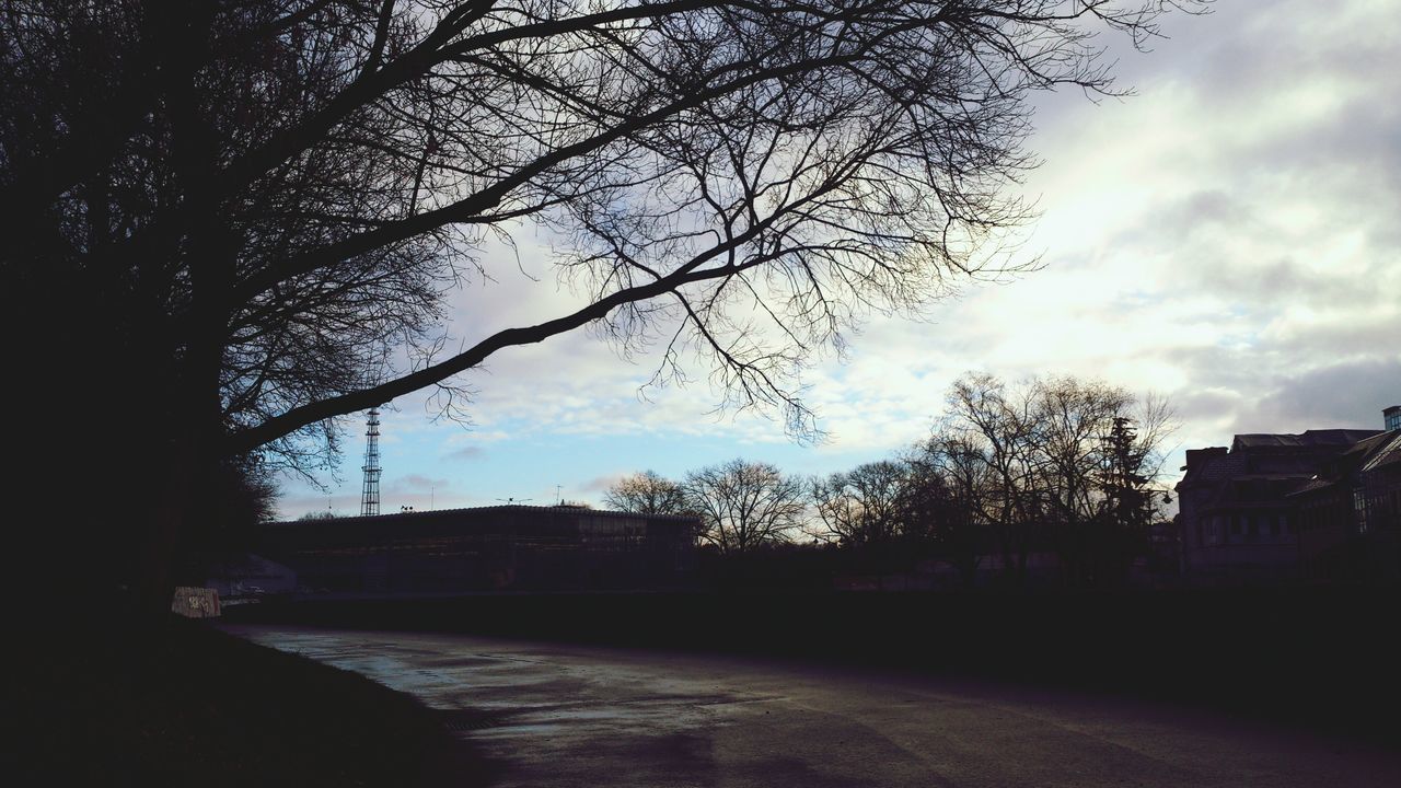 tree, sky, building exterior, architecture, growth, nature, city, no people, outdoors, day