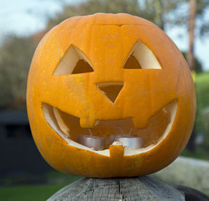 Close-up of pumpkin on stone wall during halloween