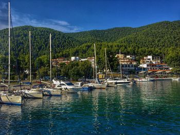 Sailboats moored at marina