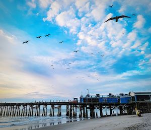 Seagulls flying over sea against sky