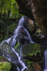 Low angle view of waterfall in forest