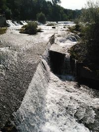 Scenic view of river amidst trees