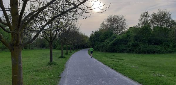 Road amidst trees on field against sky