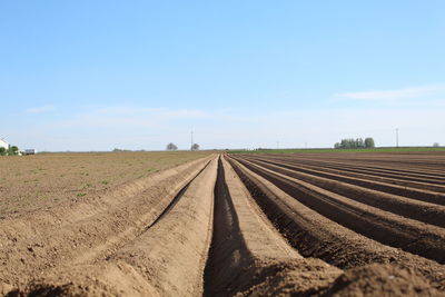 Field in nature in rhineland palatinate 