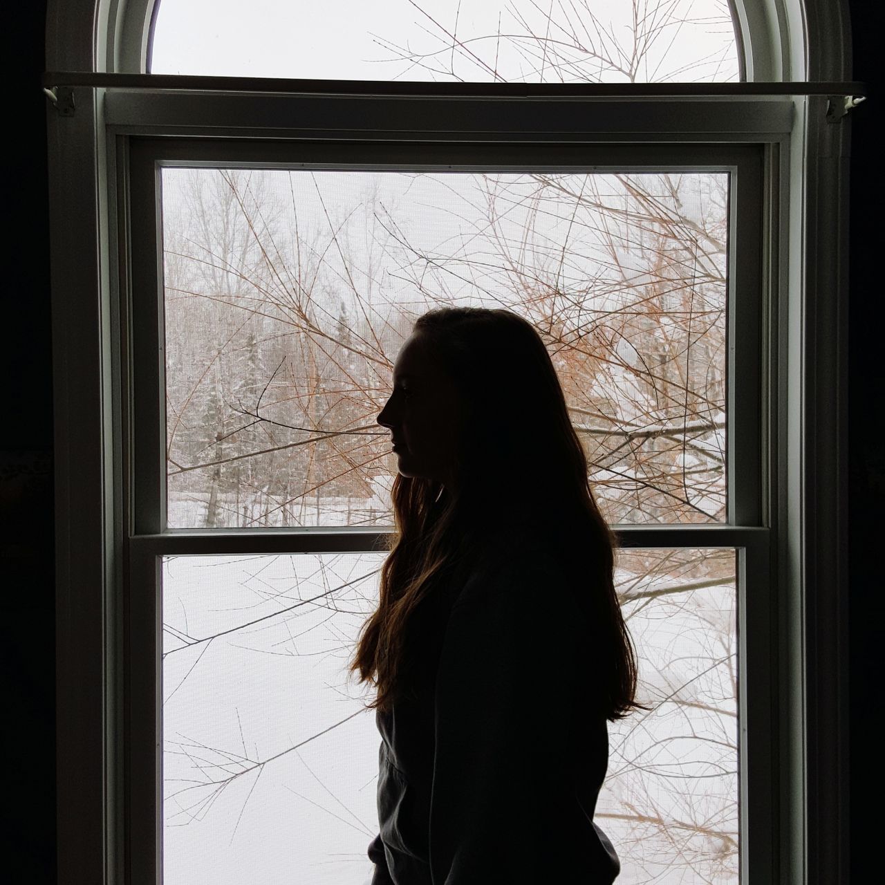 window, one person, bare tree, real people, long hair, indoors, tree, winter, looking through window, side view, day, standing, snow, architecture, sky, warm clothing, young adult, people