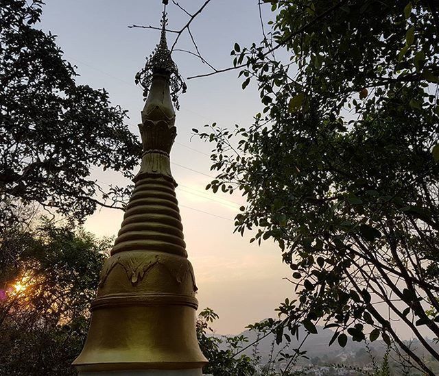 low angle view, tree, built structure, branch, architecture, religion, sky, growth, building exterior, spirituality, tall - high, clear sky, no people, outdoors, tower, place of worship, day, nature, travel destinations, statue