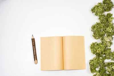 Directly above shot of open book on table against white background