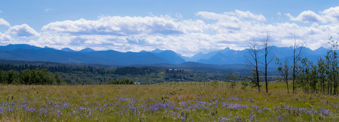 Scenic view of field and mountains against sky