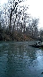 Bare trees on riverbank against sky