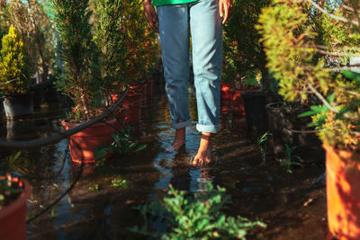 Low section of man standing by plants in forest