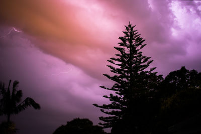 Low angle view of silhouette tree against sky during sunset