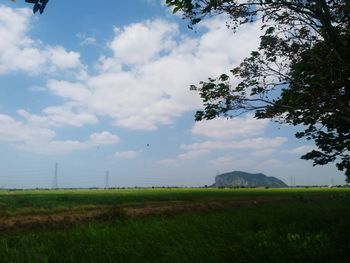 Scenic view of field against sky