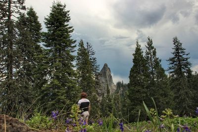 Rear view of people standing by trees in forest