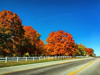 Road by trees against sky during autumn