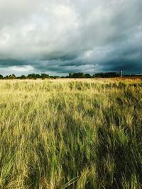 Scenic view of field against cloudy sky