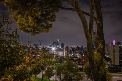 Illuminated trees and buildings against sky at night