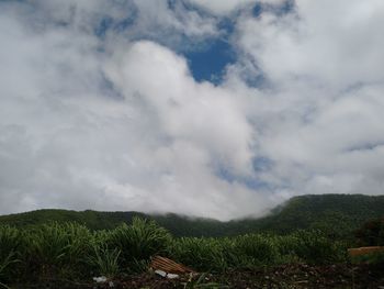 Scenic view of landscape against sky