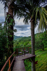 Footbridge amidst trees against sky