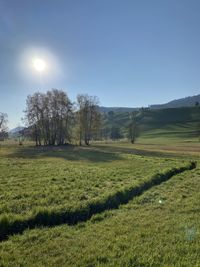 Scenic view of land against clear sky