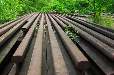 Close-up of railroad track in forest