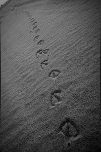 High angle view of footprints on sand at beach