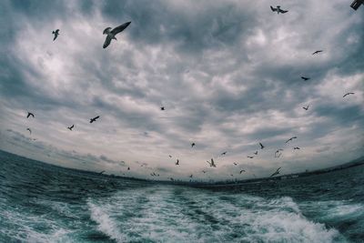 Seagulls flying over sea against cloudy sky