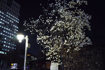 Low angle view of illuminated street light at night