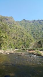 Scenic view of river amidst trees against sky