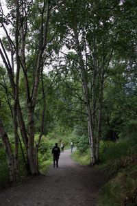 Rear view of men walking in forest