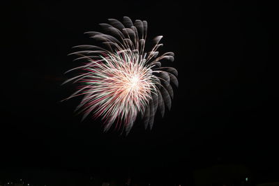 Low angle view of firework display at night