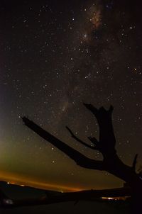 Silhouette airplane against sky at night