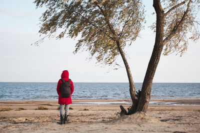 Rear view of man on beach against sky