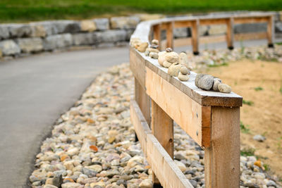 Close-up of lizard on retaining wall