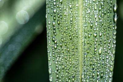 Detail shot of abstract background