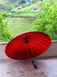 Red umbrella on tree