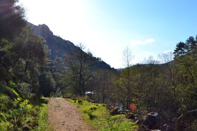 Dirt road amidst trees and mountains against sky