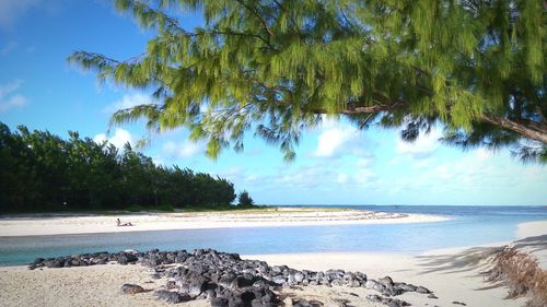 Scenic view of beach against blue sky