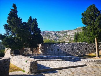 View of trees and plants against blue sky