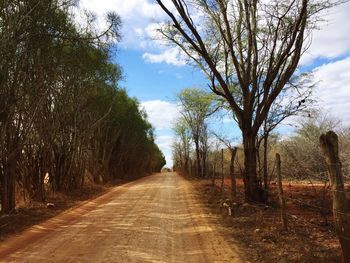 Road amidst bare trees in field