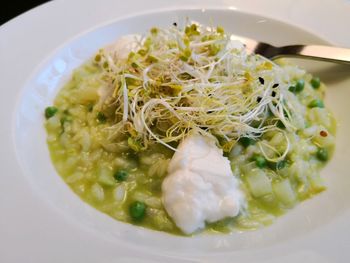 Close-up of meal served in bowl