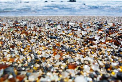 Surface level of rocks on beach