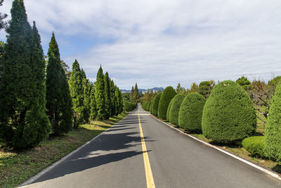 Empty road along plants and trees against sky