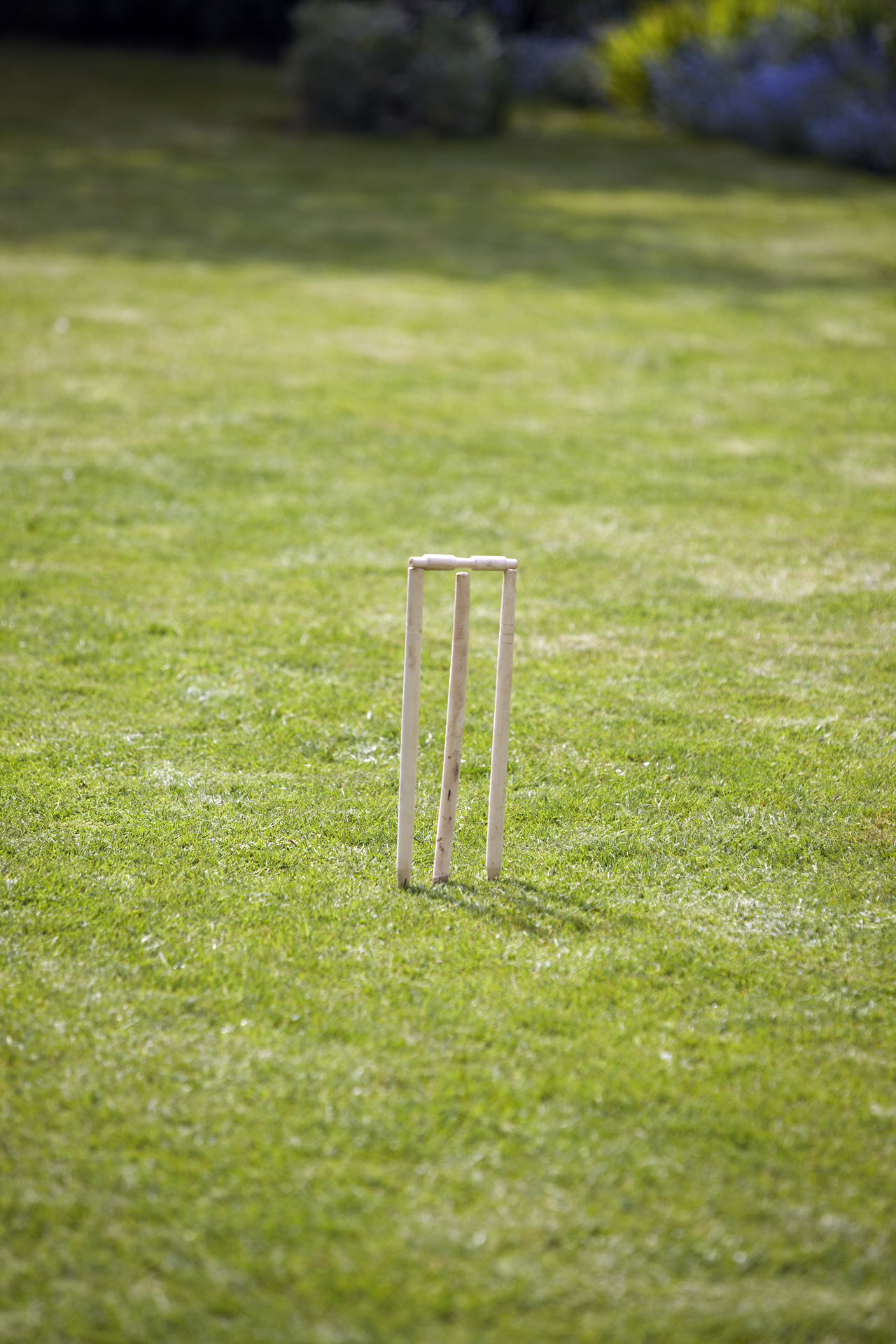 Cricket stumps