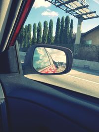 Reflection of trees in side-view mirror