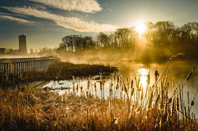 Silhouette trees by lake against sky during sunset